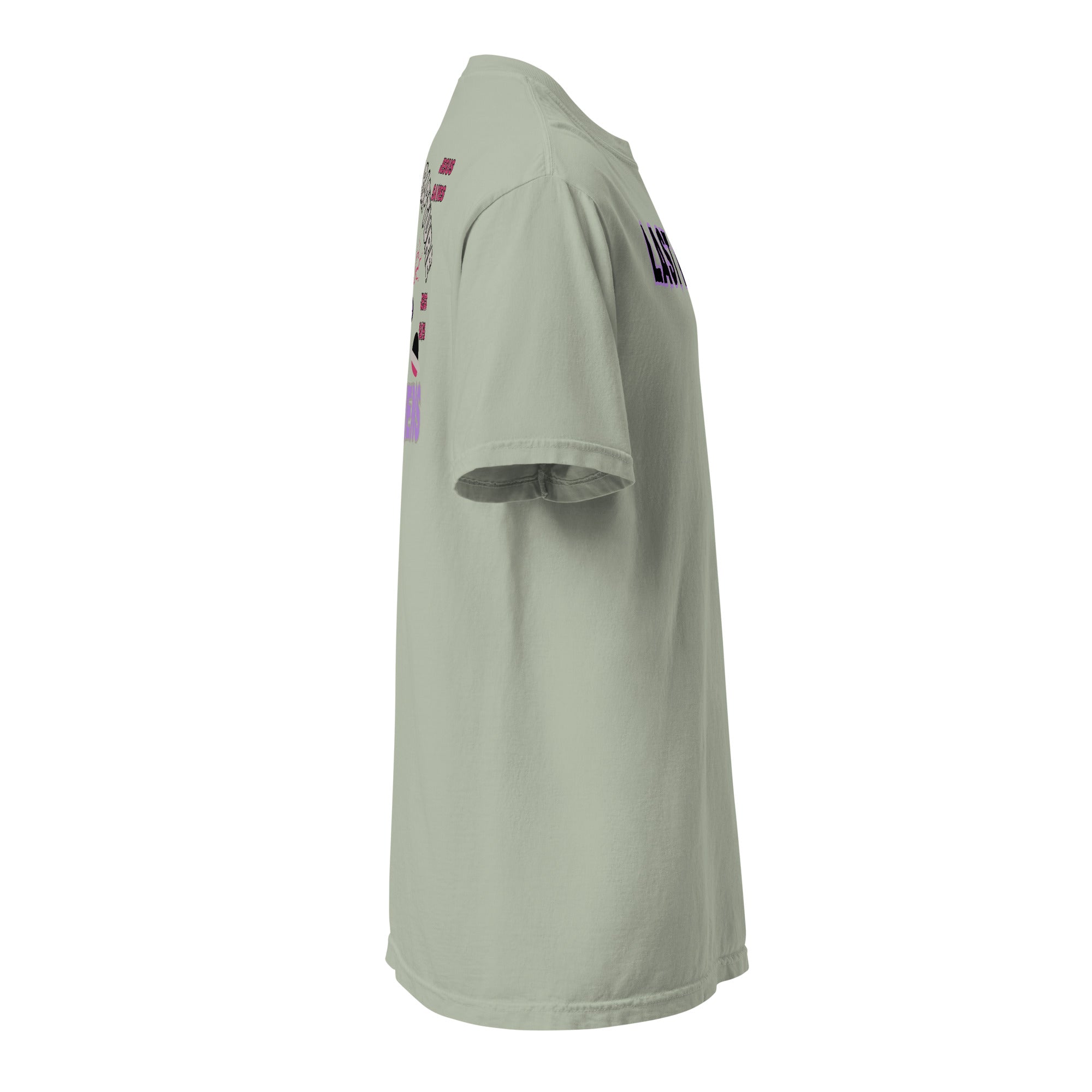 Last Days Unisex garment-dyed heavyweight t-shirt