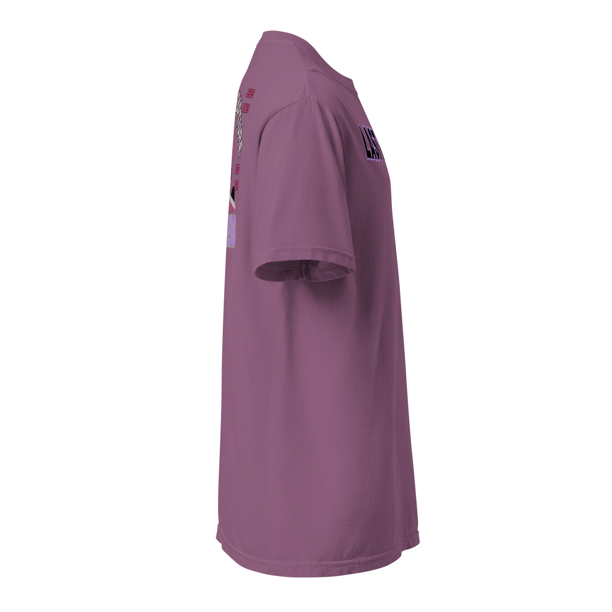 Last Days Unisex garment-dyed heavyweight t-shirt