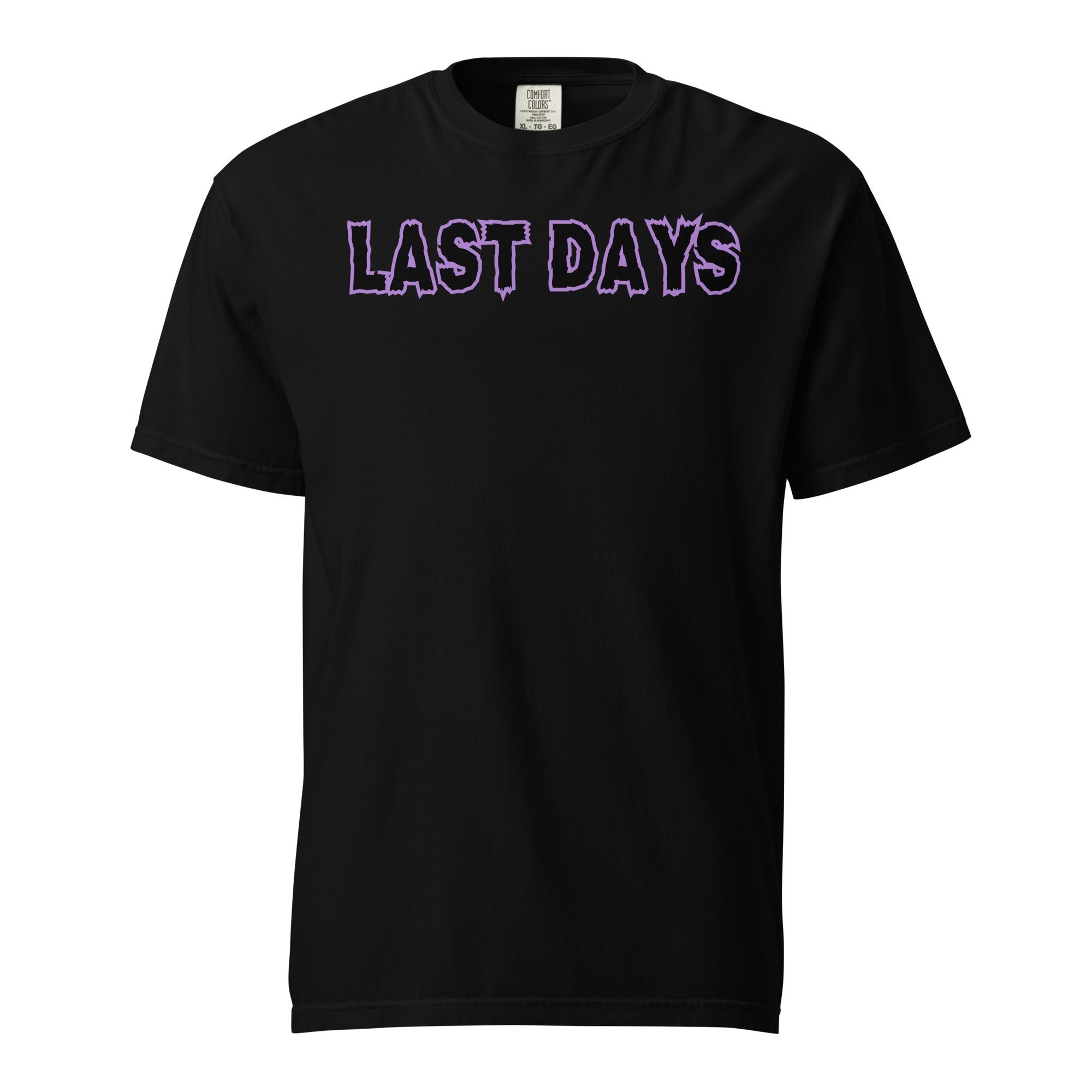 Last Days Unisex garment-dyed heavyweight t-shirt