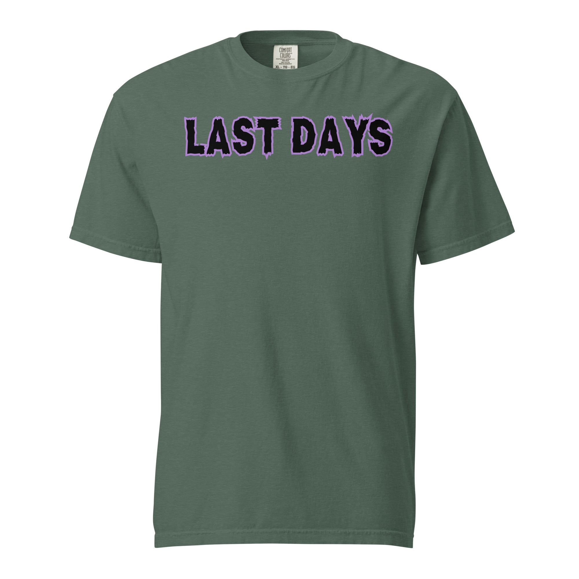 Last Days Unisex garment-dyed heavyweight t-shirt