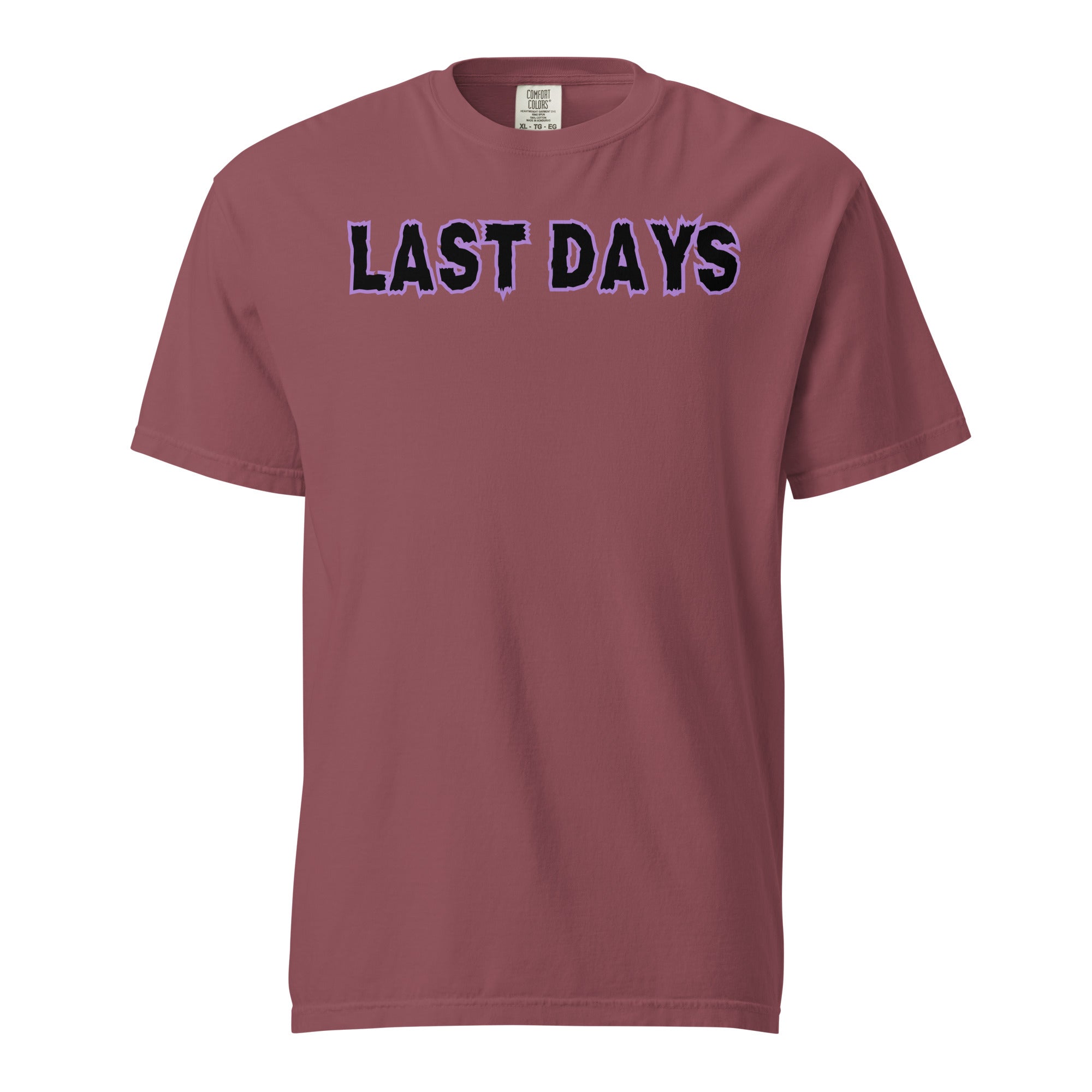 Last Days Unisex garment-dyed heavyweight t-shirt