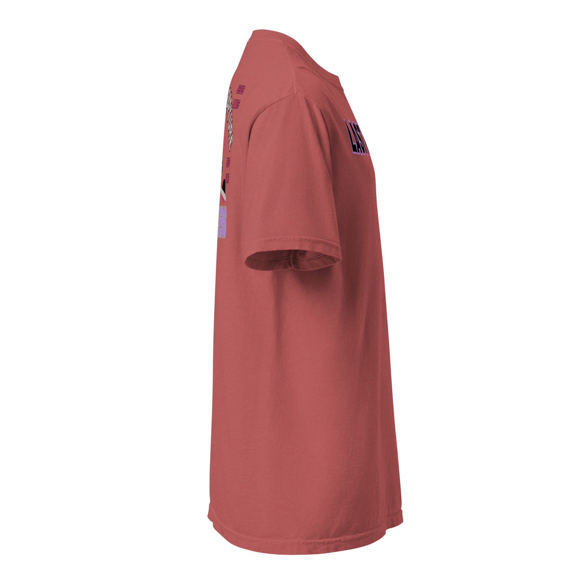 Last Days Unisex garment-dyed heavyweight t-shirt