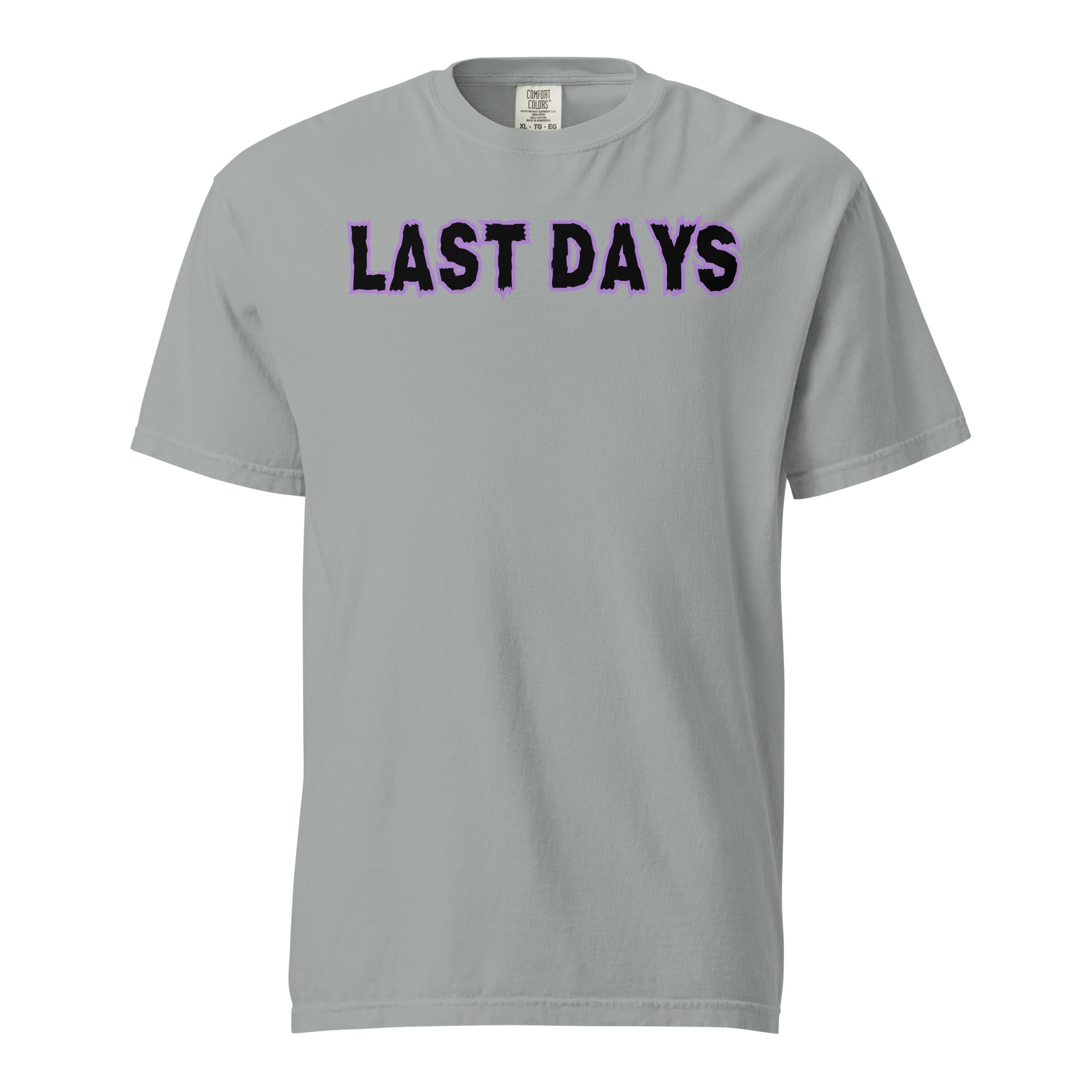 Last Days Unisex garment-dyed heavyweight t-shirt