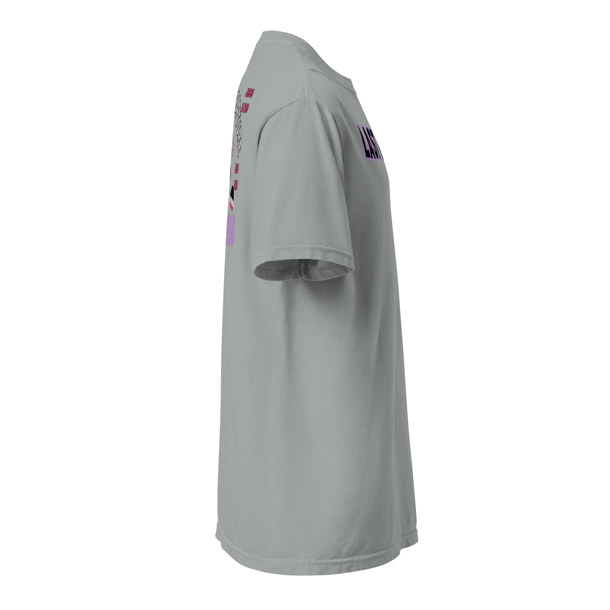 Last Days Unisex garment-dyed heavyweight t-shirt