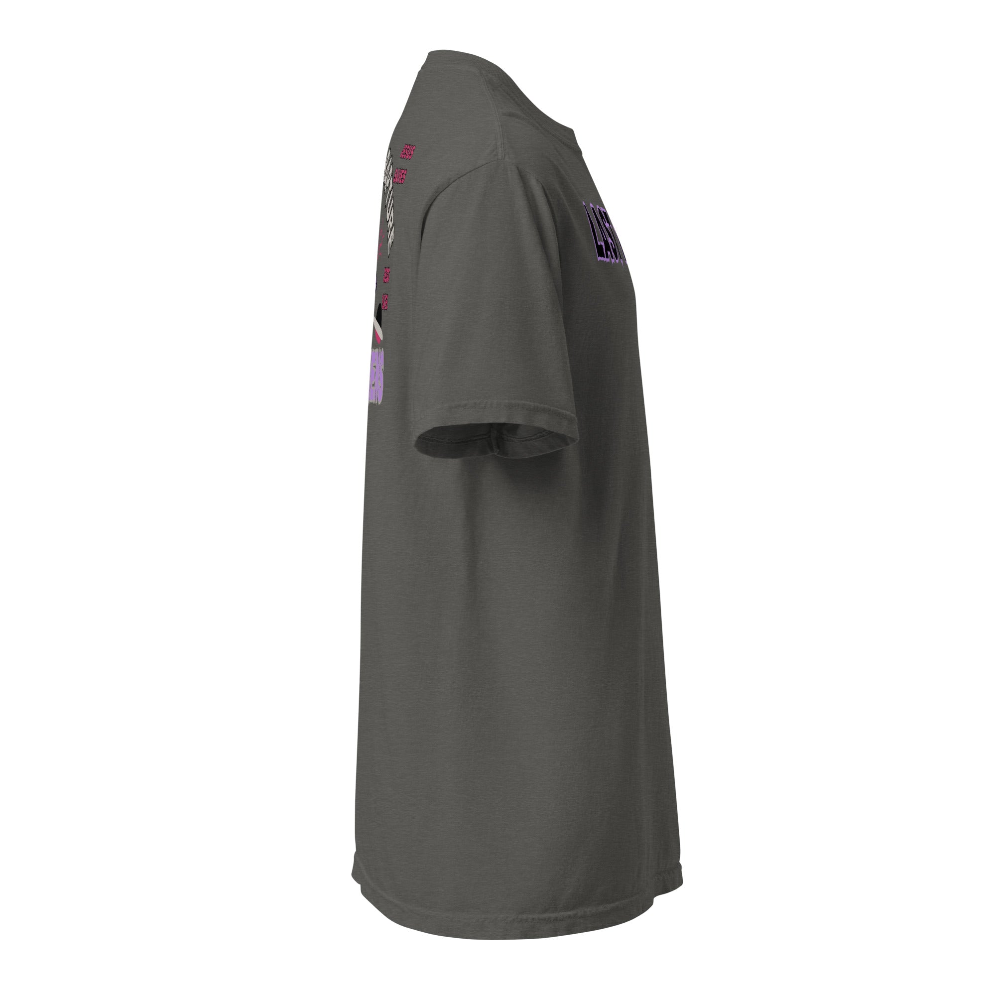 Last Days Unisex garment-dyed heavyweight t-shirt