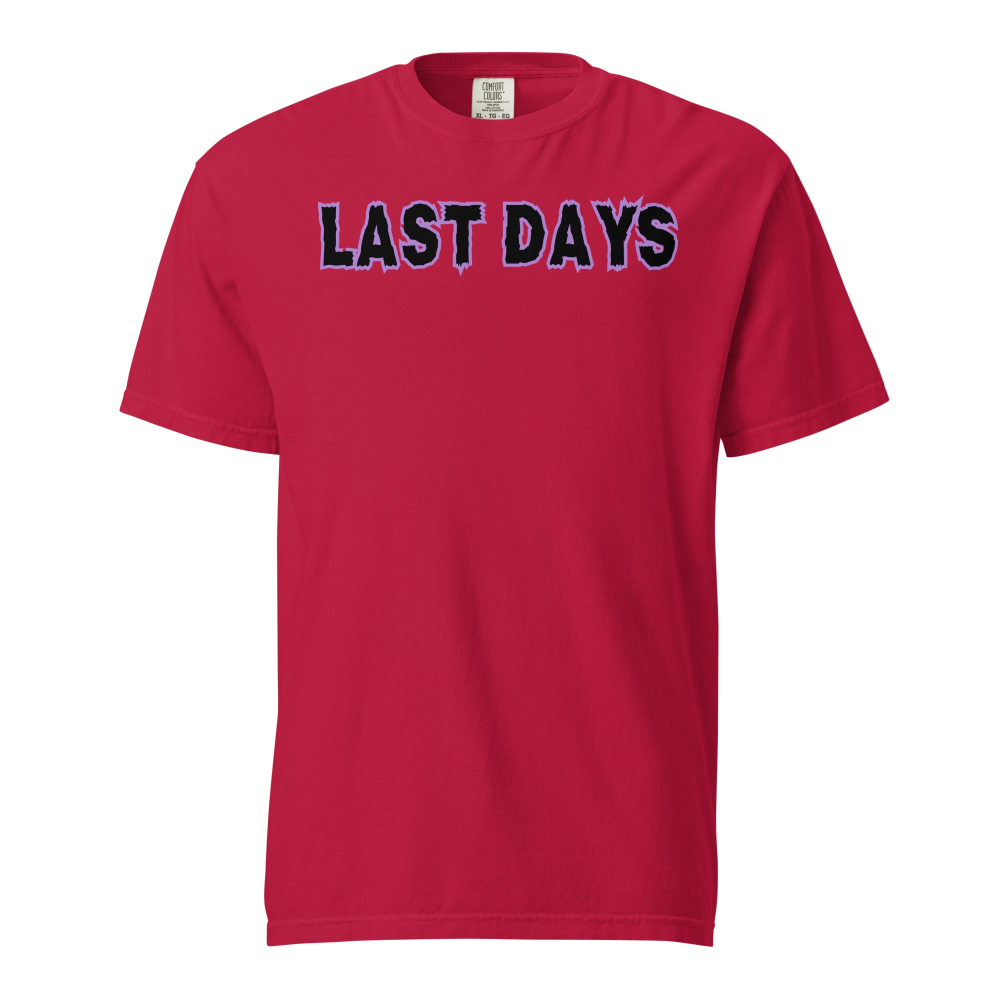Last Days Unisex garment-dyed heavyweight t-shirt