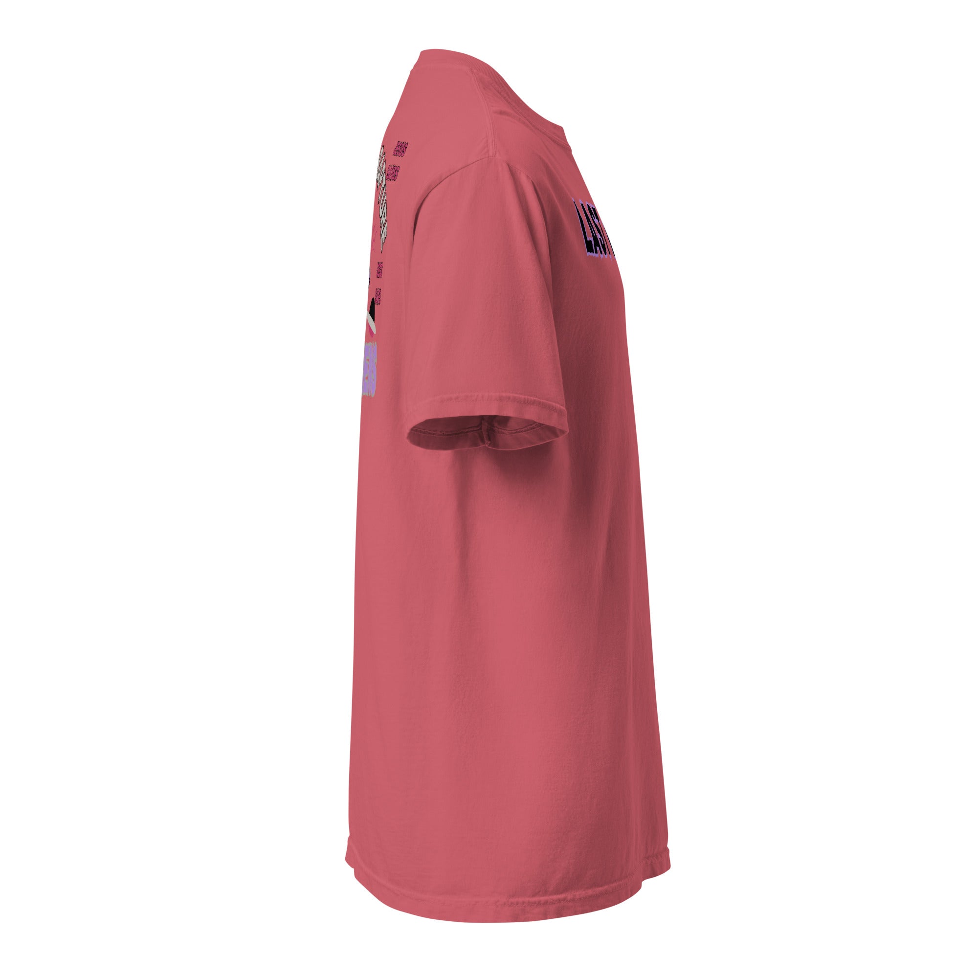 Last Days Unisex garment-dyed heavyweight t-shirt