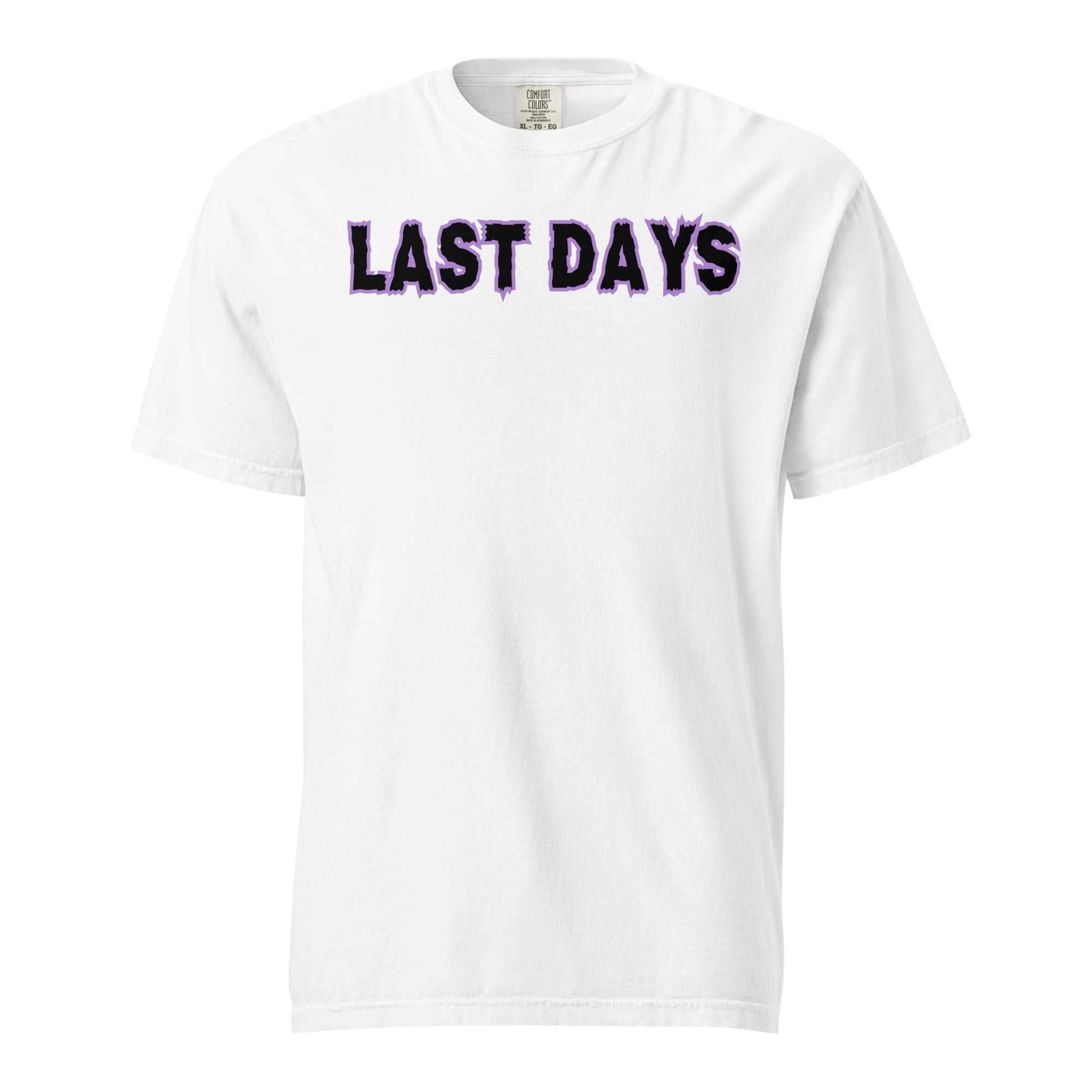 Last Days Unisex garment-dyed heavyweight t-shirt