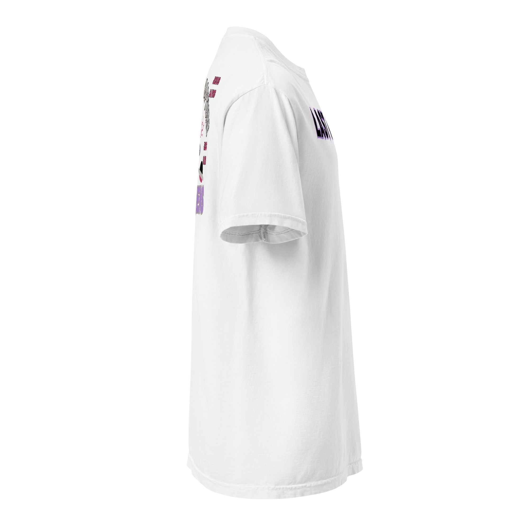 Last Days Unisex garment-dyed heavyweight t-shirt