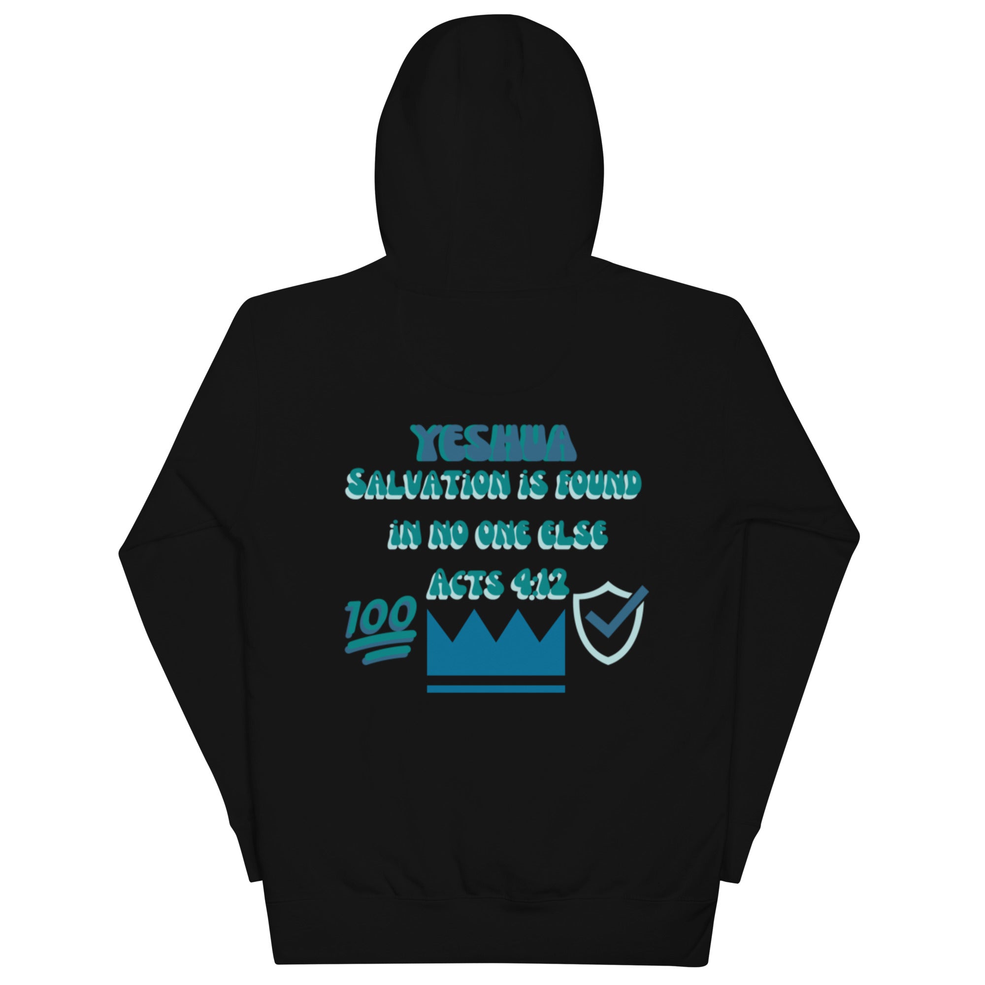 Preach Salvation Acts 4:12 Unisex Hoodie