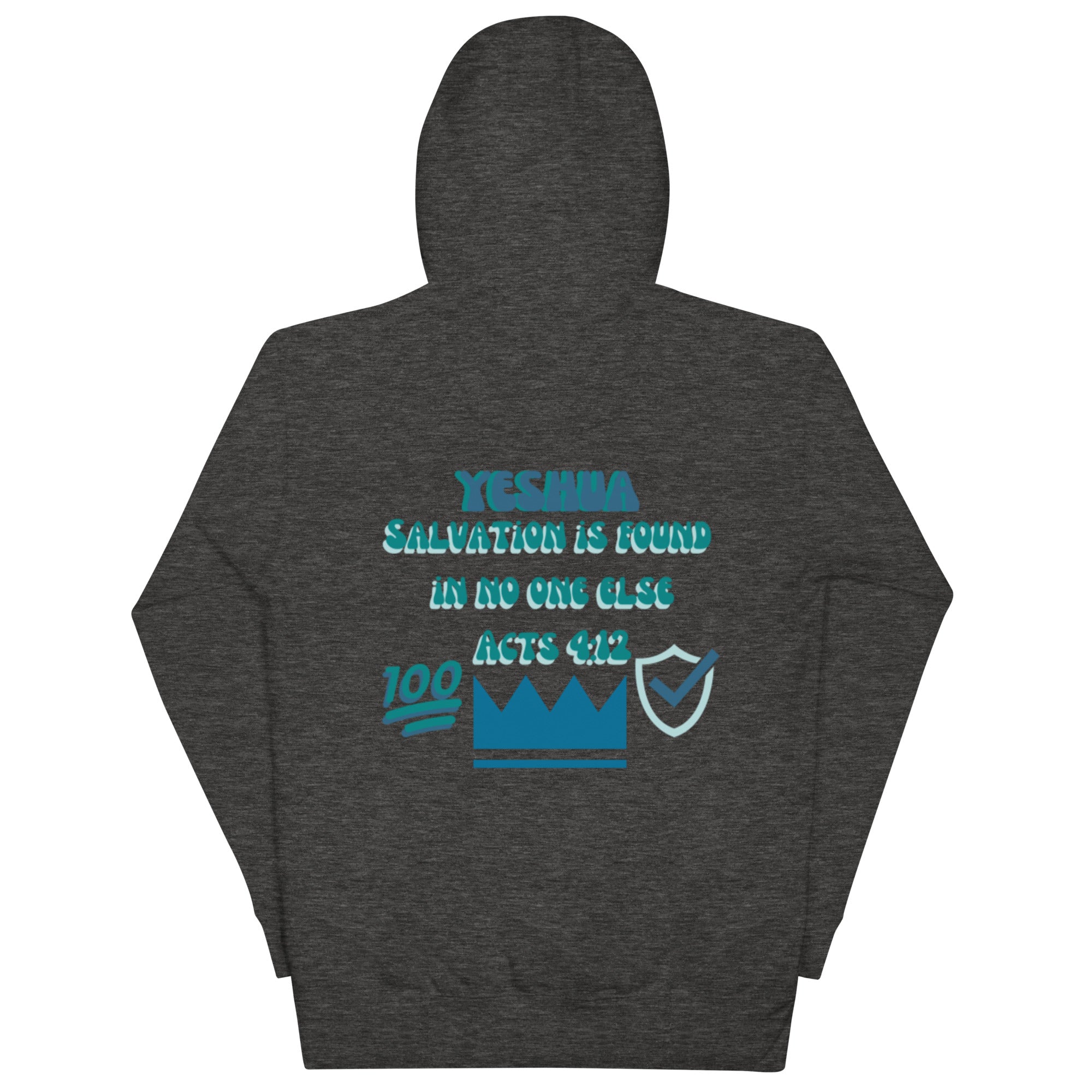 Preach Salvation Acts 4:12 Unisex Hoodie