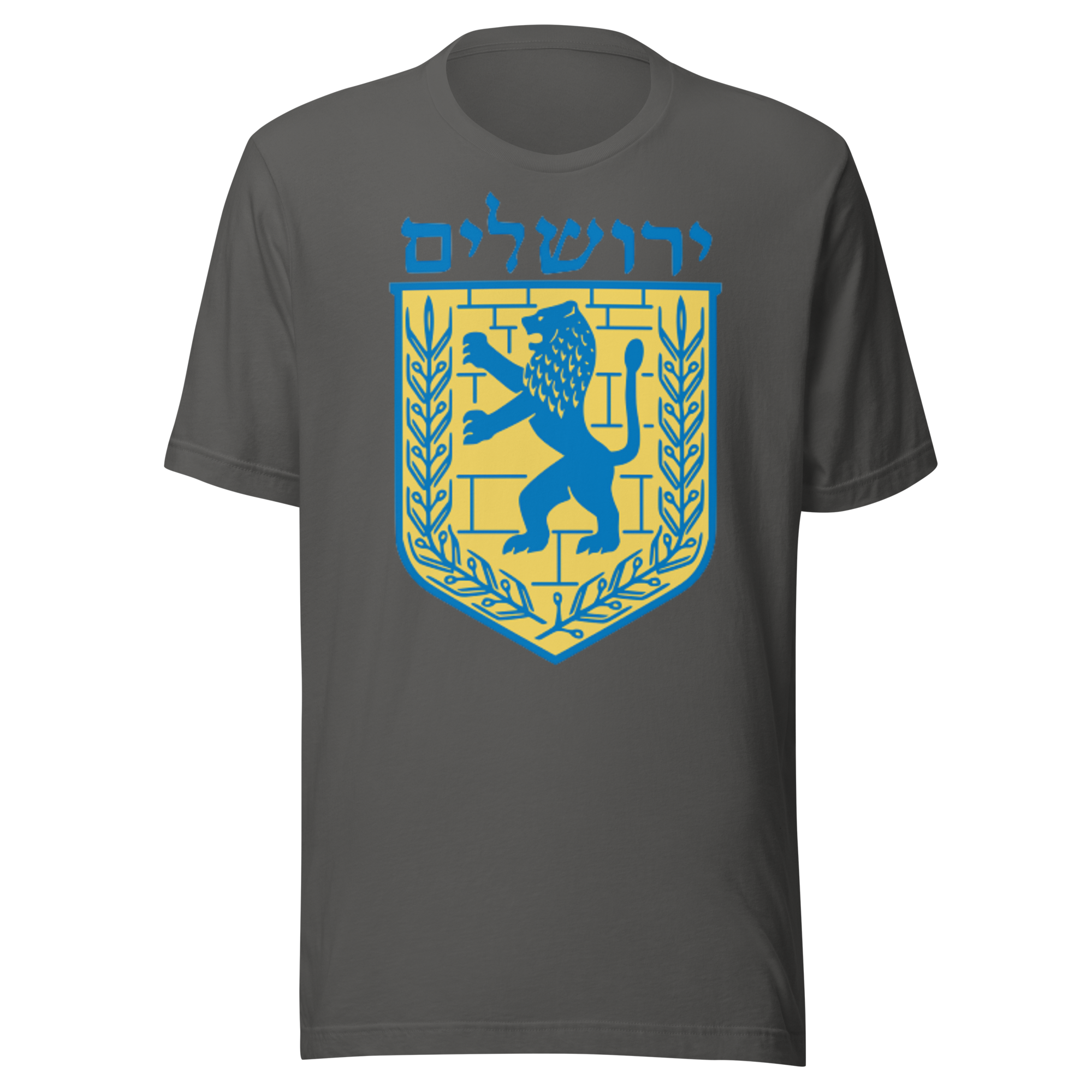 Jerusalem Hebrew Unisex t-shirt