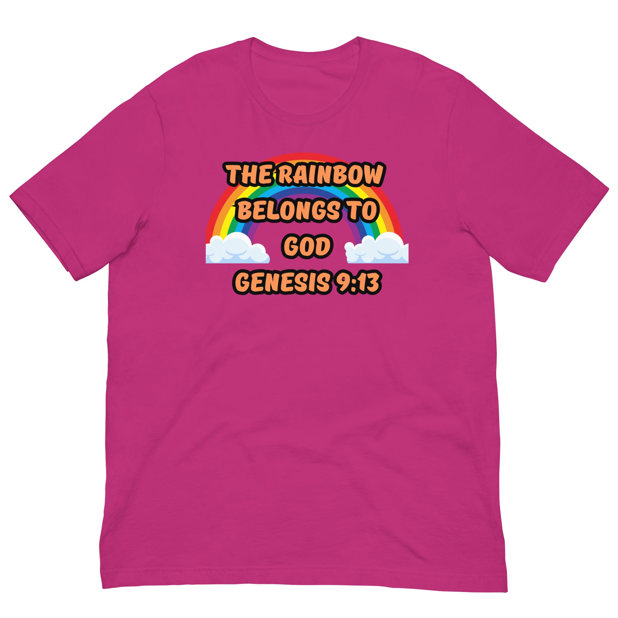 Genesis 9:13 Unisex t-shirt