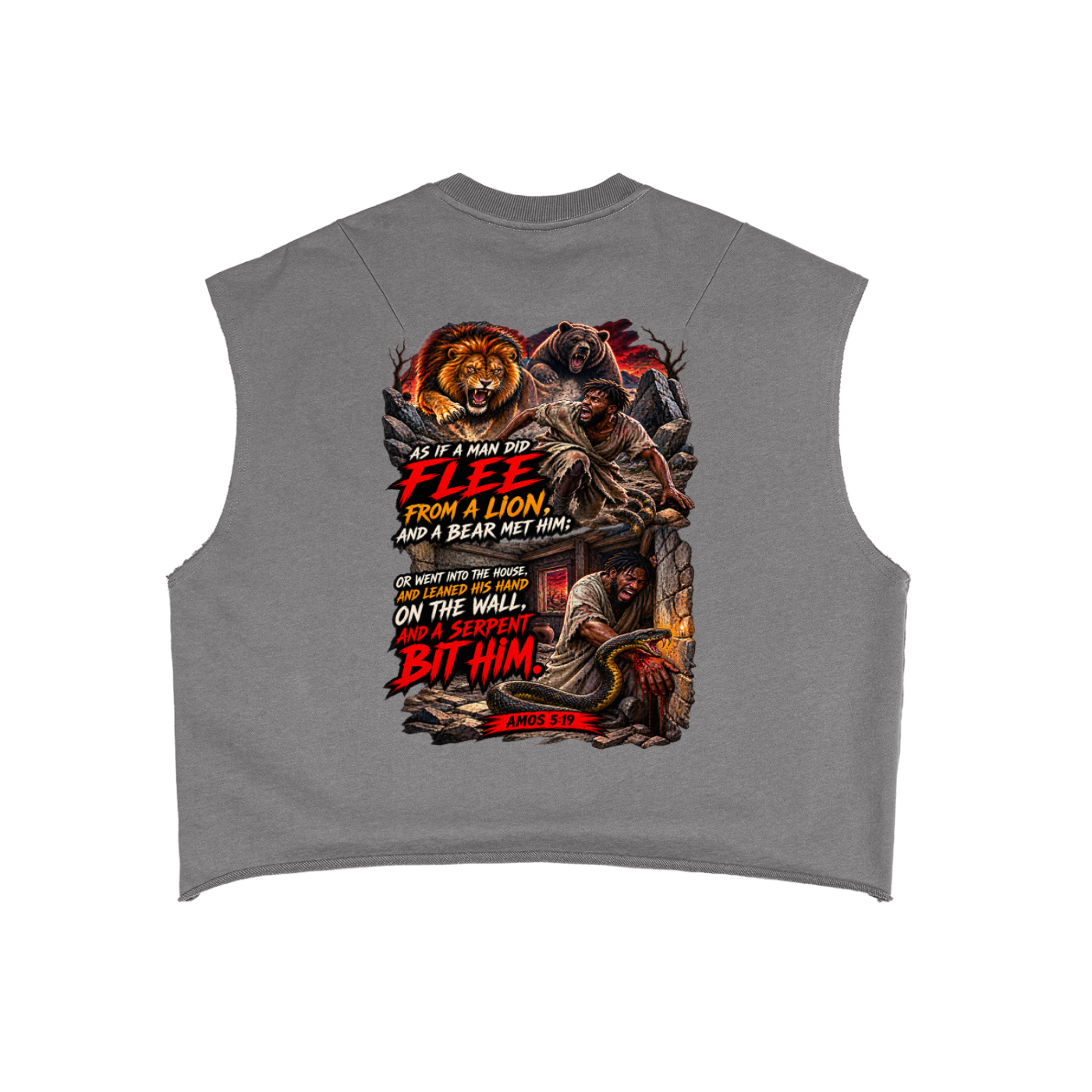 Amos 5:18-19 French Terry Boxy Tank Top