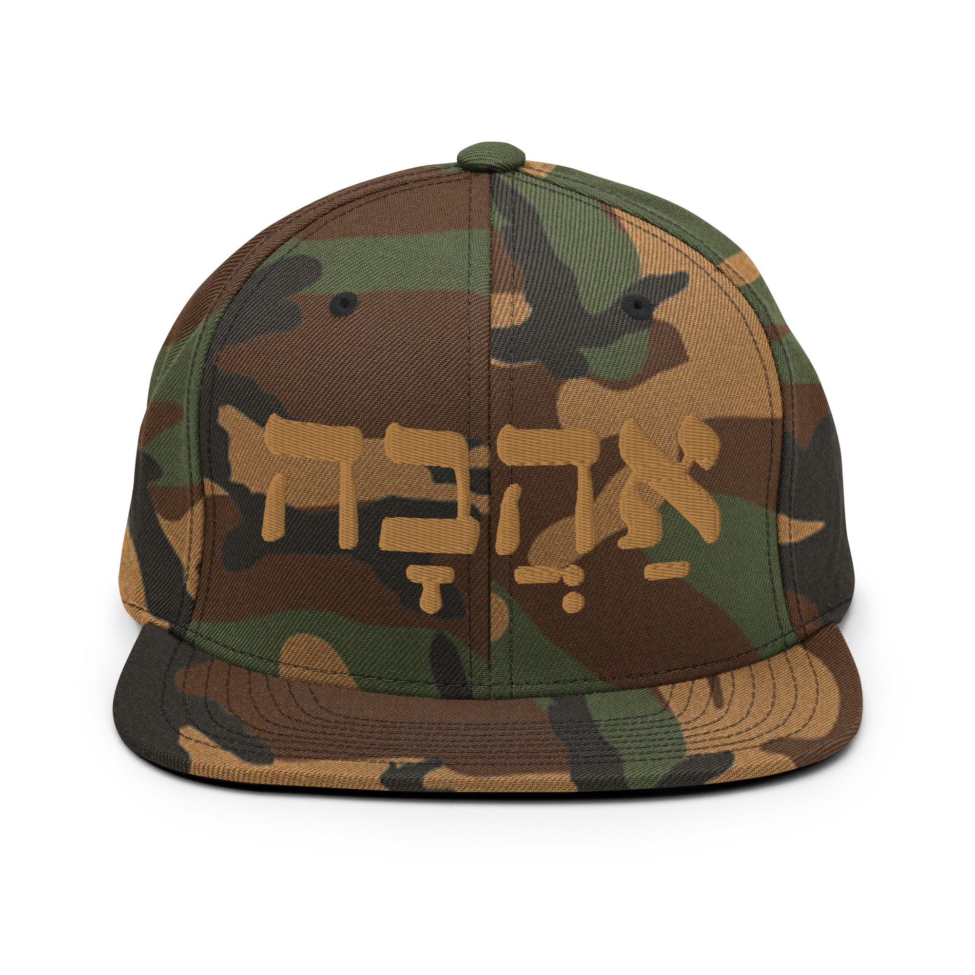 Ahava (Love in hebrew) Snapback Hat