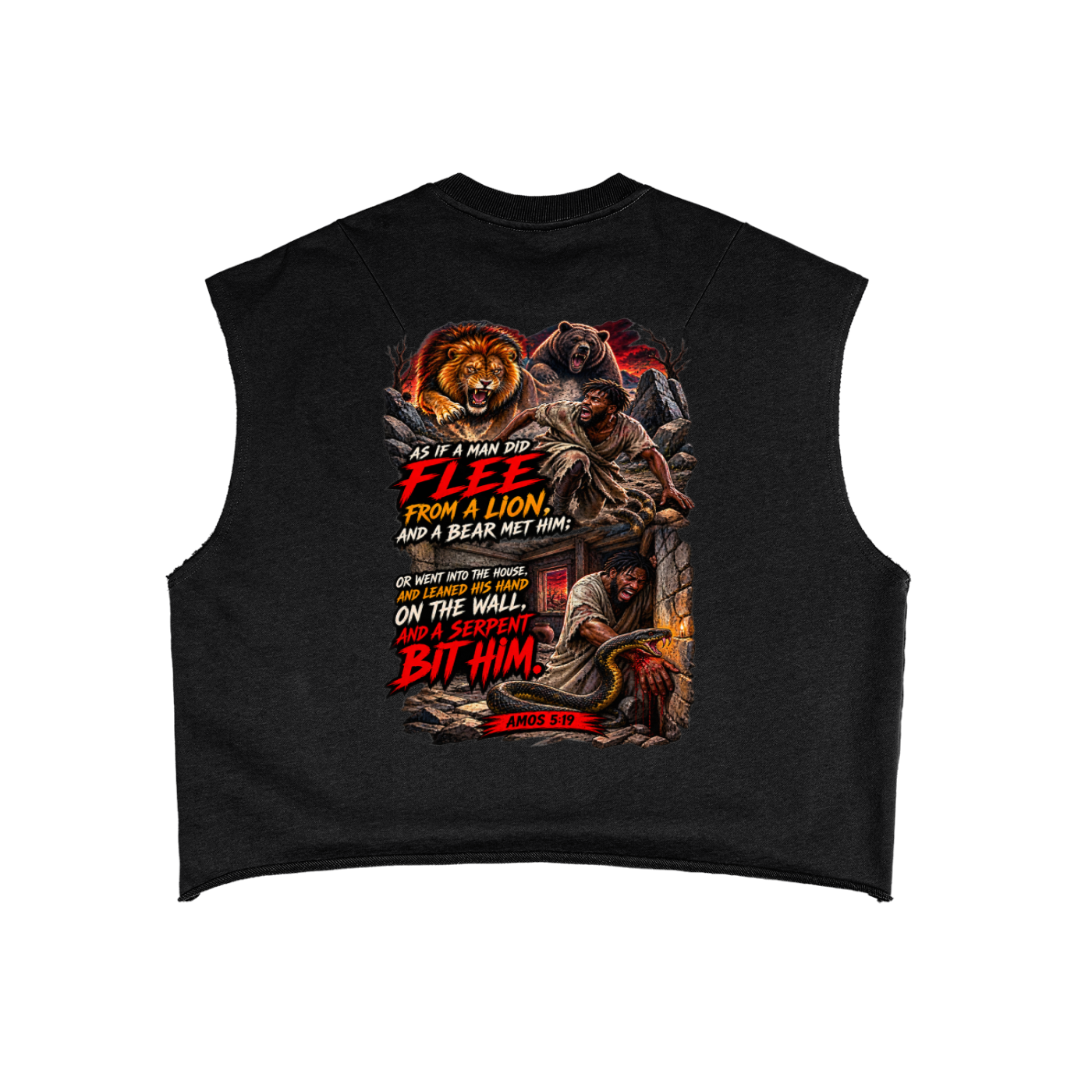 Amos 5:18-19 French Terry Boxy Tank Top