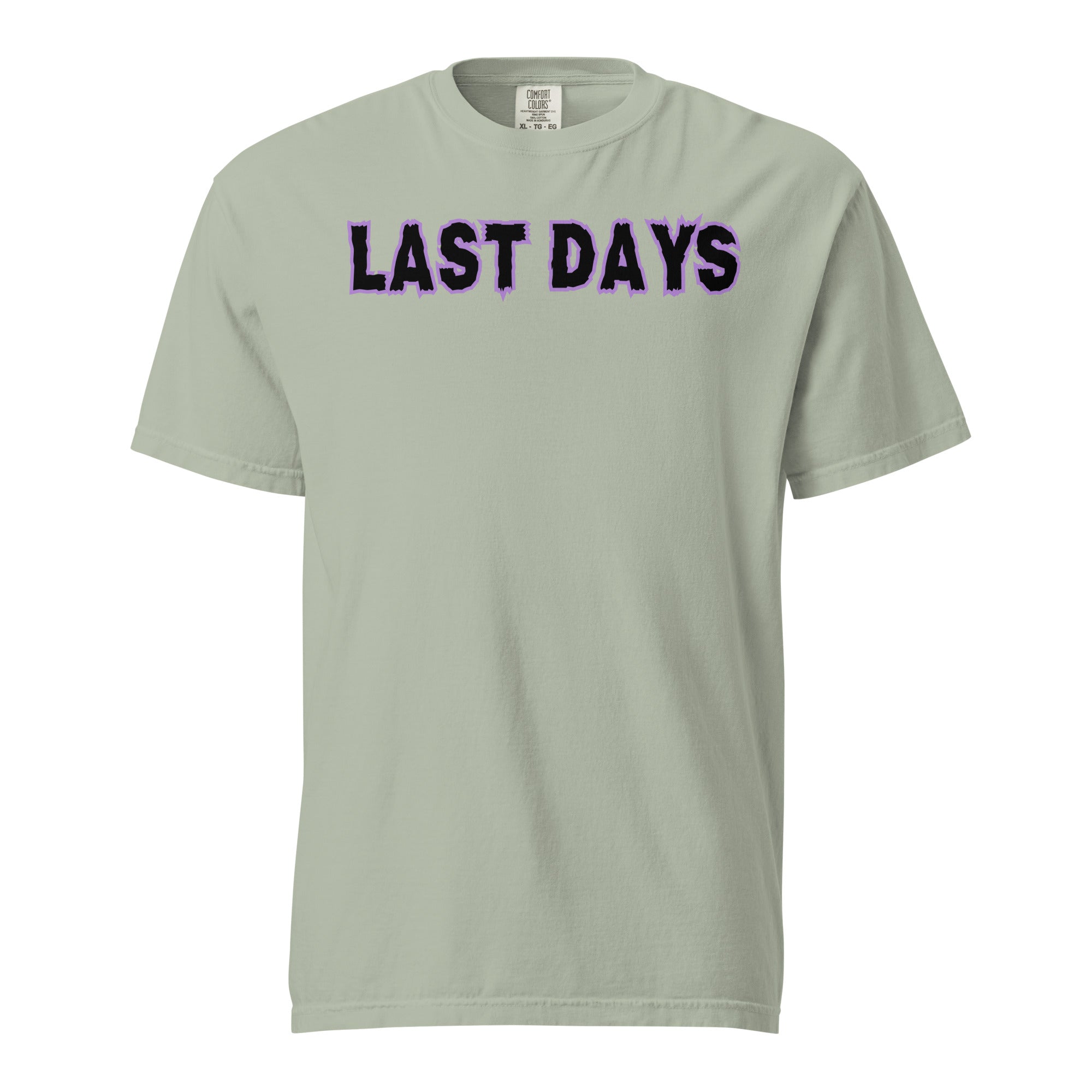 Last Days Unisex garment-dyed heavyweight t-shirt