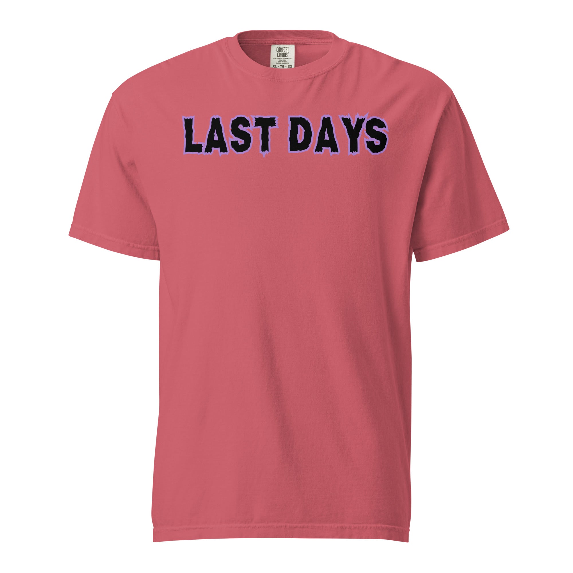 Last Days Unisex garment-dyed heavyweight t-shirt