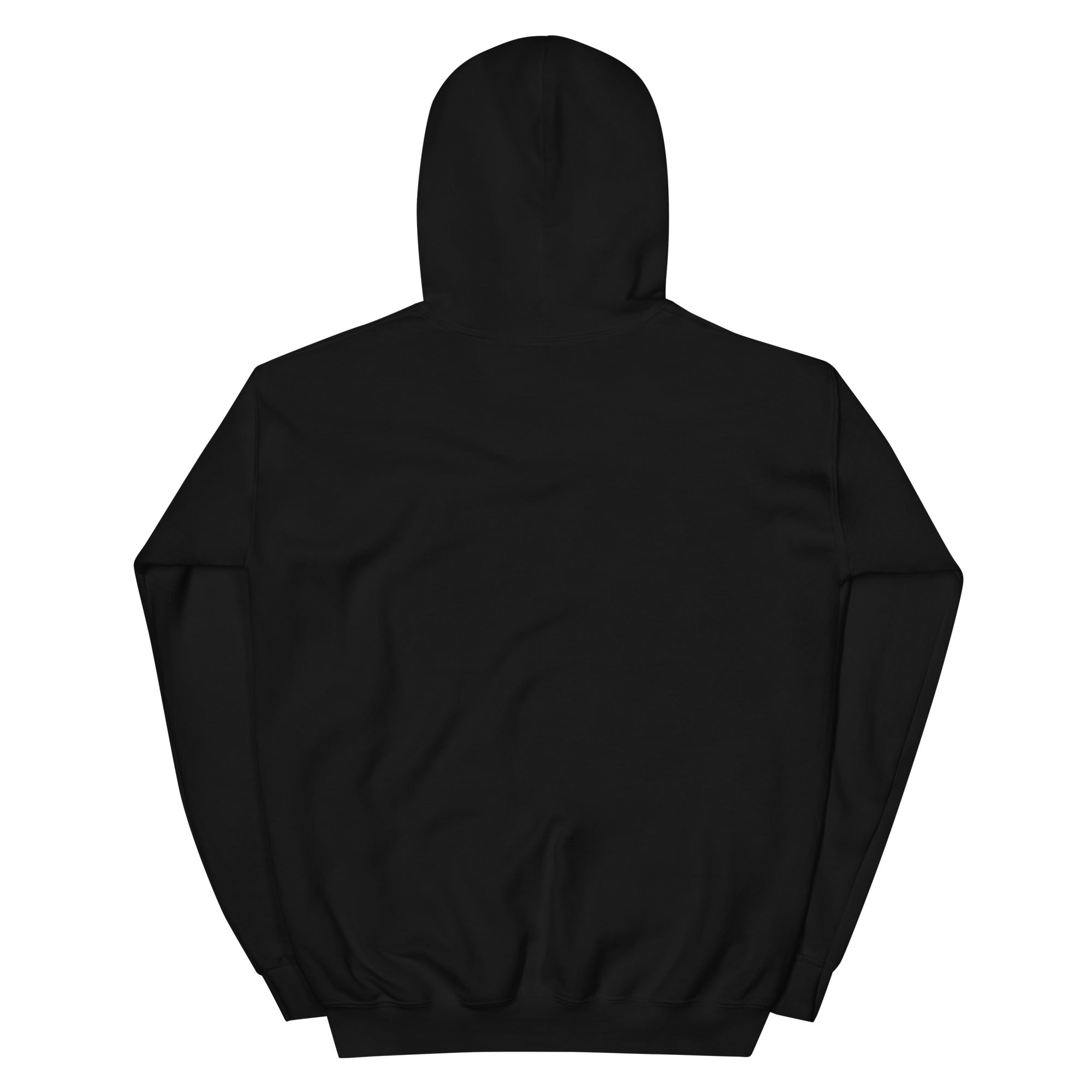 Jesus changes everything Unisex Hoodie
