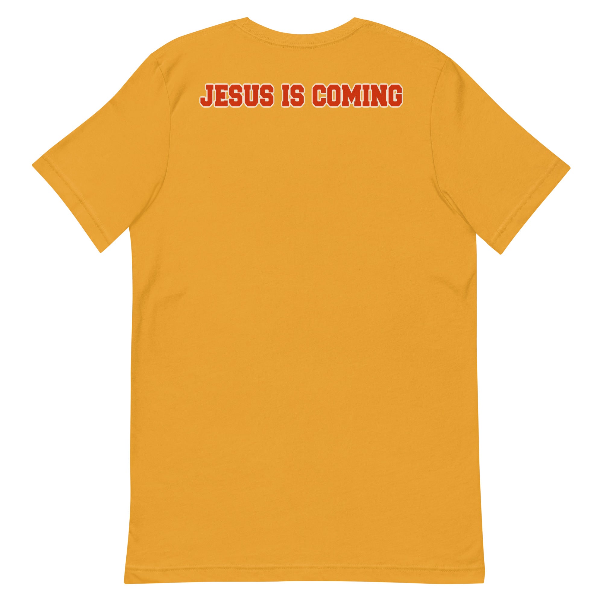 The 2nd Coming Unisex t-shirt
